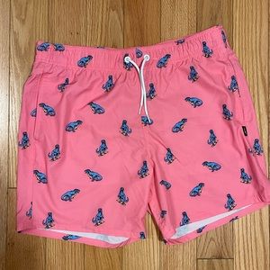 Hollister swim shorts